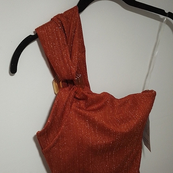 Bronze gold metallic swimsuit - Picture 2 of 5